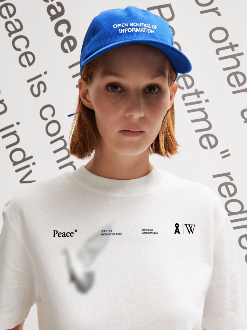 Wikipedia x Armedangels