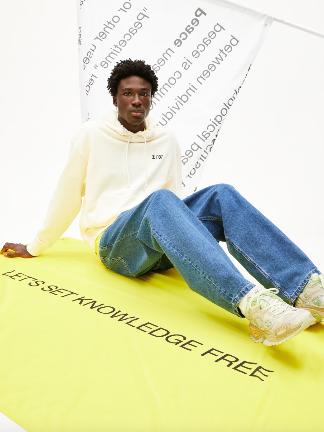 Wikipedia x Armedangels